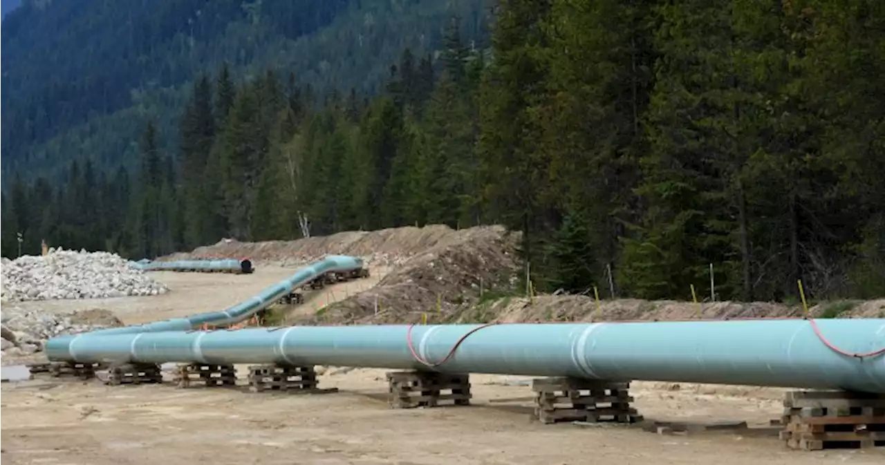 New hurdle signals more cost overruns for Trans Mountain’s controversial pipeline