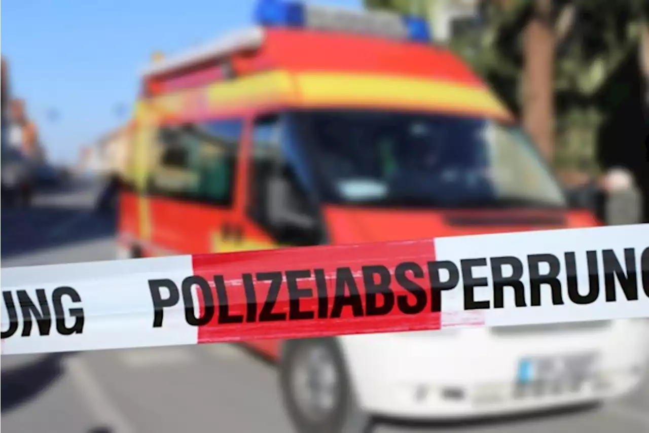 Duitse jongen (6) doodgestoken tijdens spelen, politie zoekt moordenaar