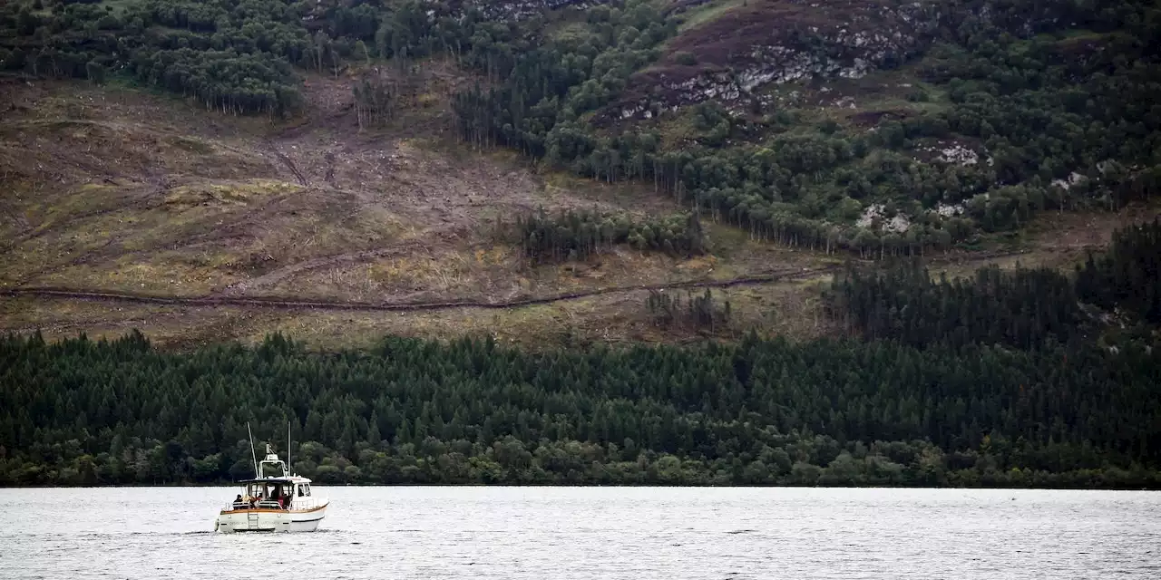 Monsterjäger macht unheimliche Entdeckung in Loch Ness