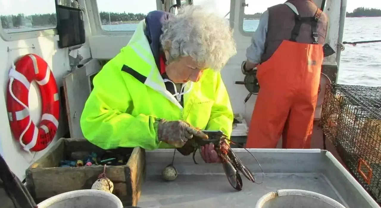 Il record di Virginia, pescatrice a 103 anni: «Io, regina delle aragoste». Chi è Lady Lobster e il segreto della sua dieta