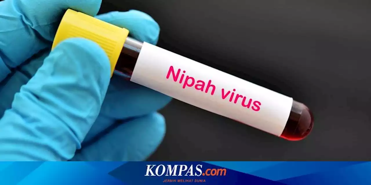Waspada Virus Nipah, Simak Gejala, Penularan, dan Pencegahannya