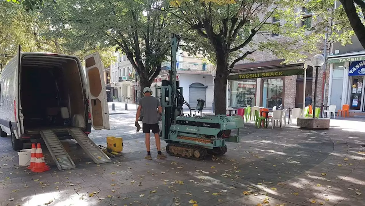 À Pamiers, des forages ravivent les inquiétudes pour les tilleuls de la place de la Poste