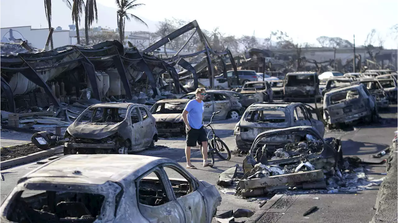 Predicted death toll in Hawaii wildfires falls to 97