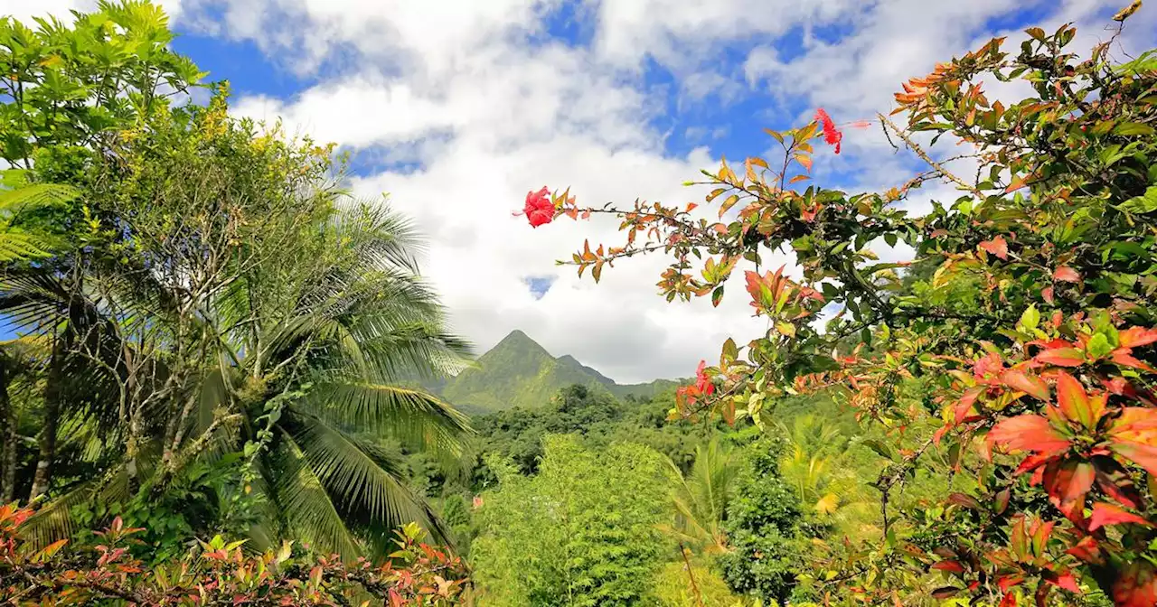 Un volcan de l'île française de la Martinique au patrimoine de l'Unesco