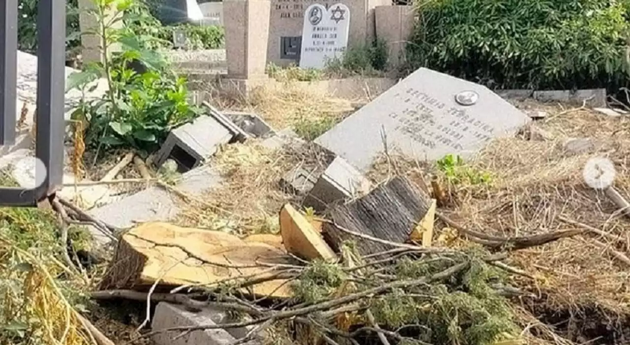 Degrado al Verano, tombe divelte, erbacce, tronchi di albero: situazione choc nel cimitero monumentale della capitale