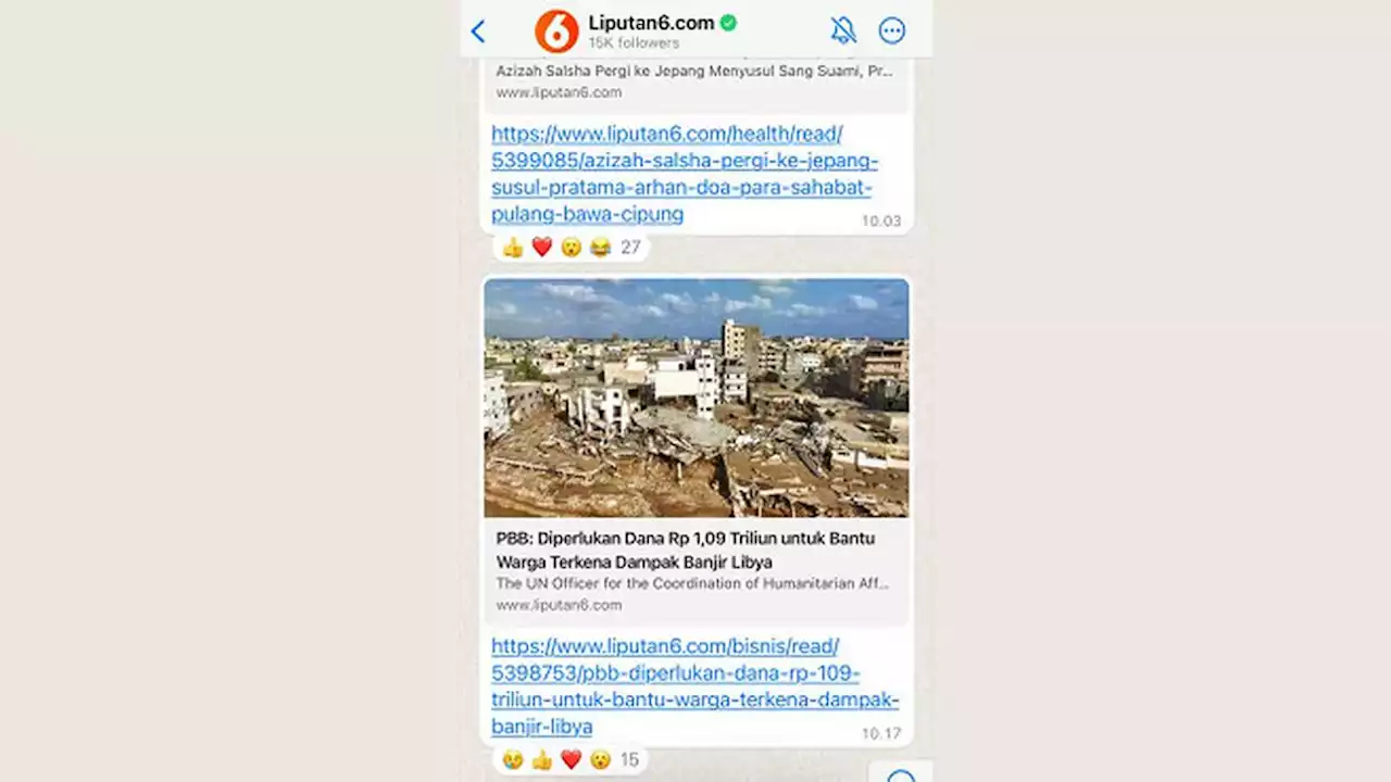 Liputan6.com Hadir di WhatsApp Channel, Yuk Follow untuk Update Berita dan Informasi Terkini