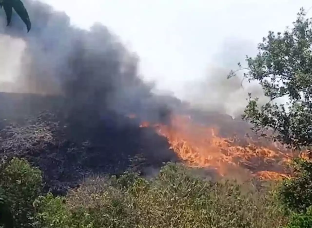 TPA Putri Cempo Solo Terbakar, 15 Unit Damkar Tak Sanggup Padamkan Api