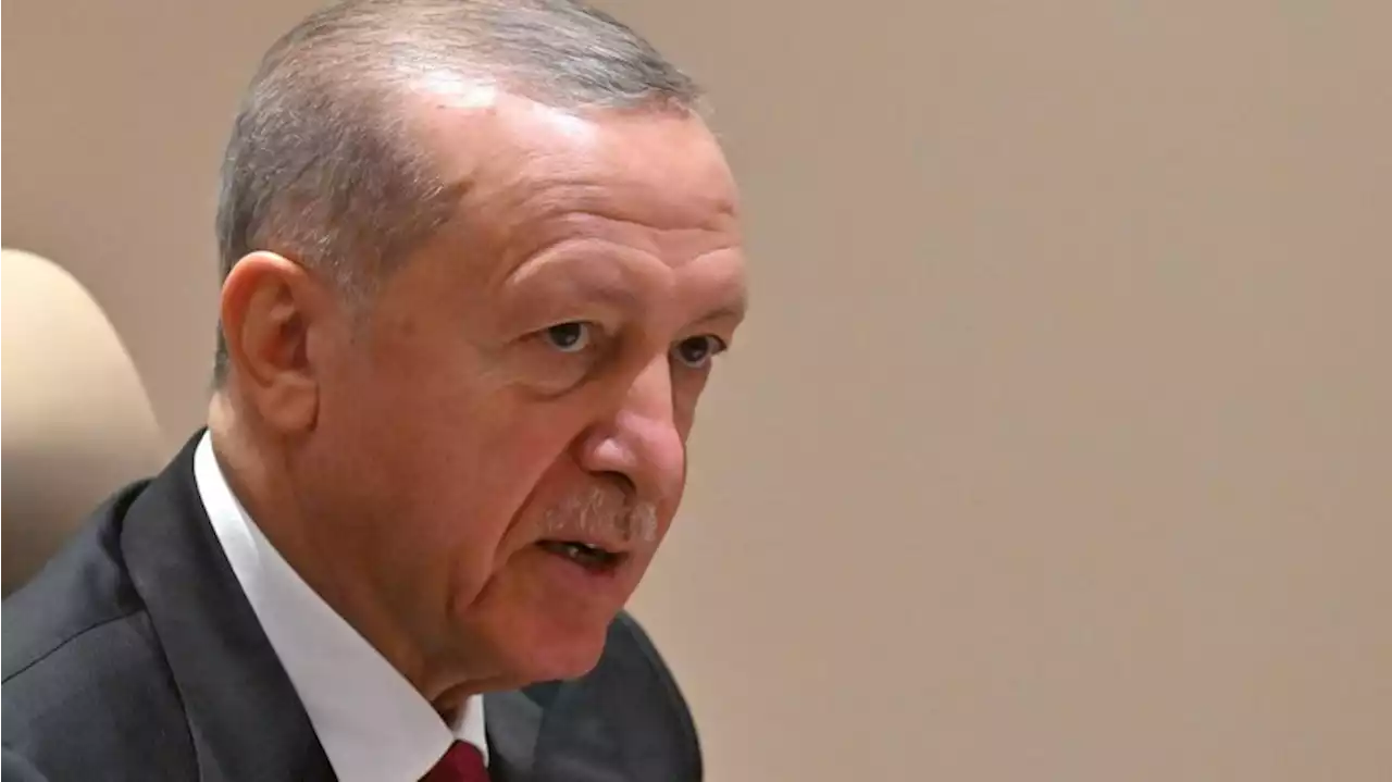 Erdogan: Türkei und EU könnten auch getrennte Wege gehen