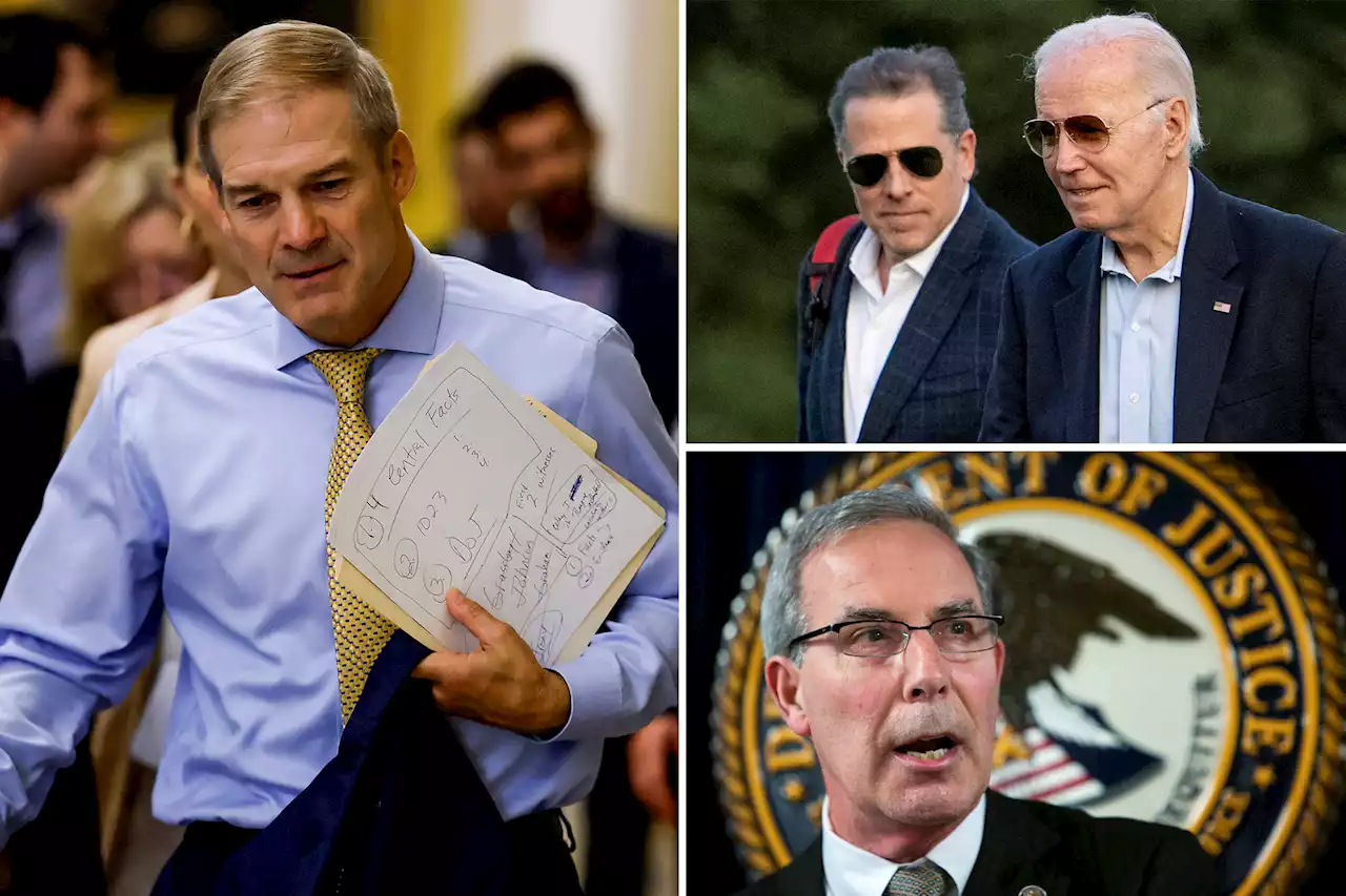 DOJ indicted Hunter Biden to protect Joe, Rep. Jim Jordan says