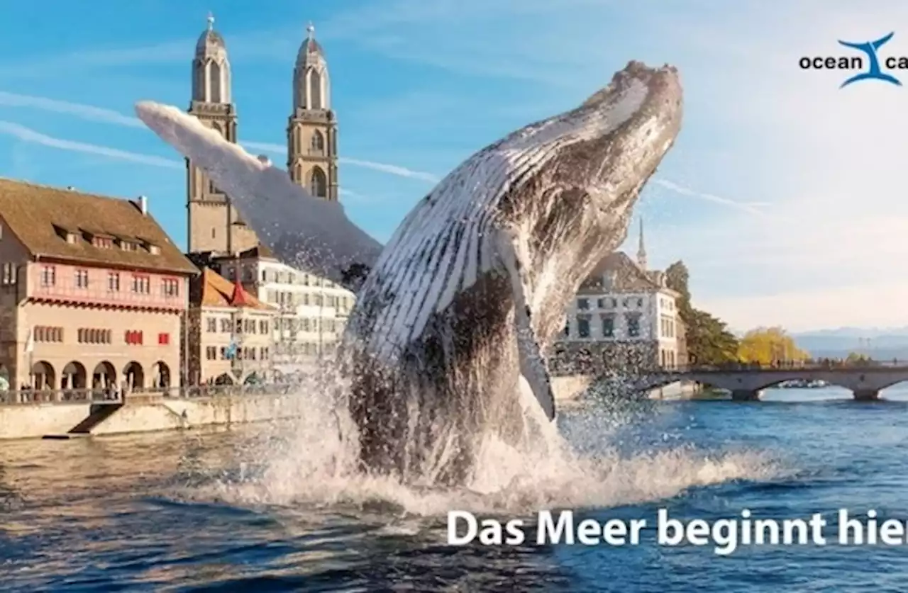 World Cleanup Day 2023: Aufräumaktion entlang der Zürcher Abfallmeile