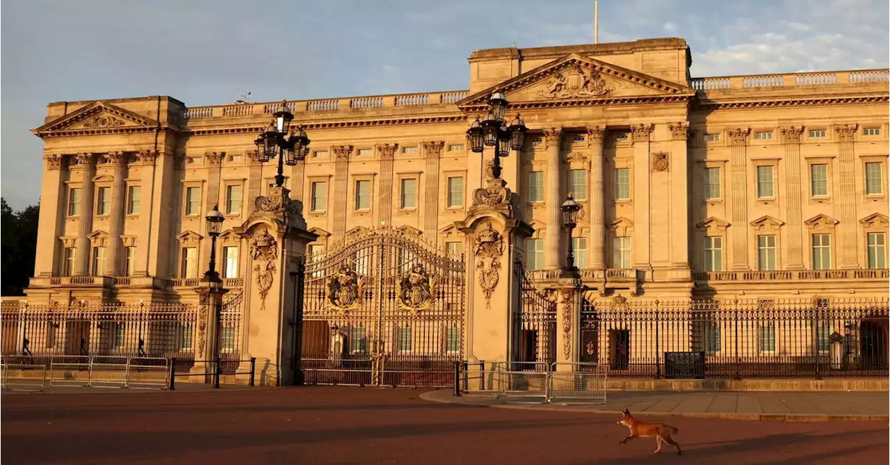 Man arrested climbing into Royal Mews by Buckingham Palace