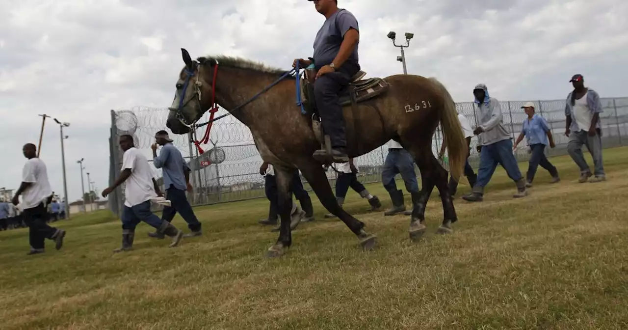 Louisiana prisoner suit claims they’re forced to endure dangerous conditions at Angola prison farm