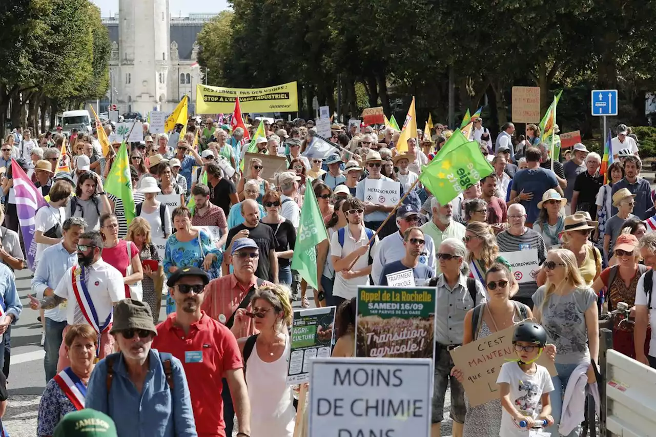 La Rochelle : environ 600 personnes ont marché pour la sortie des pesticides