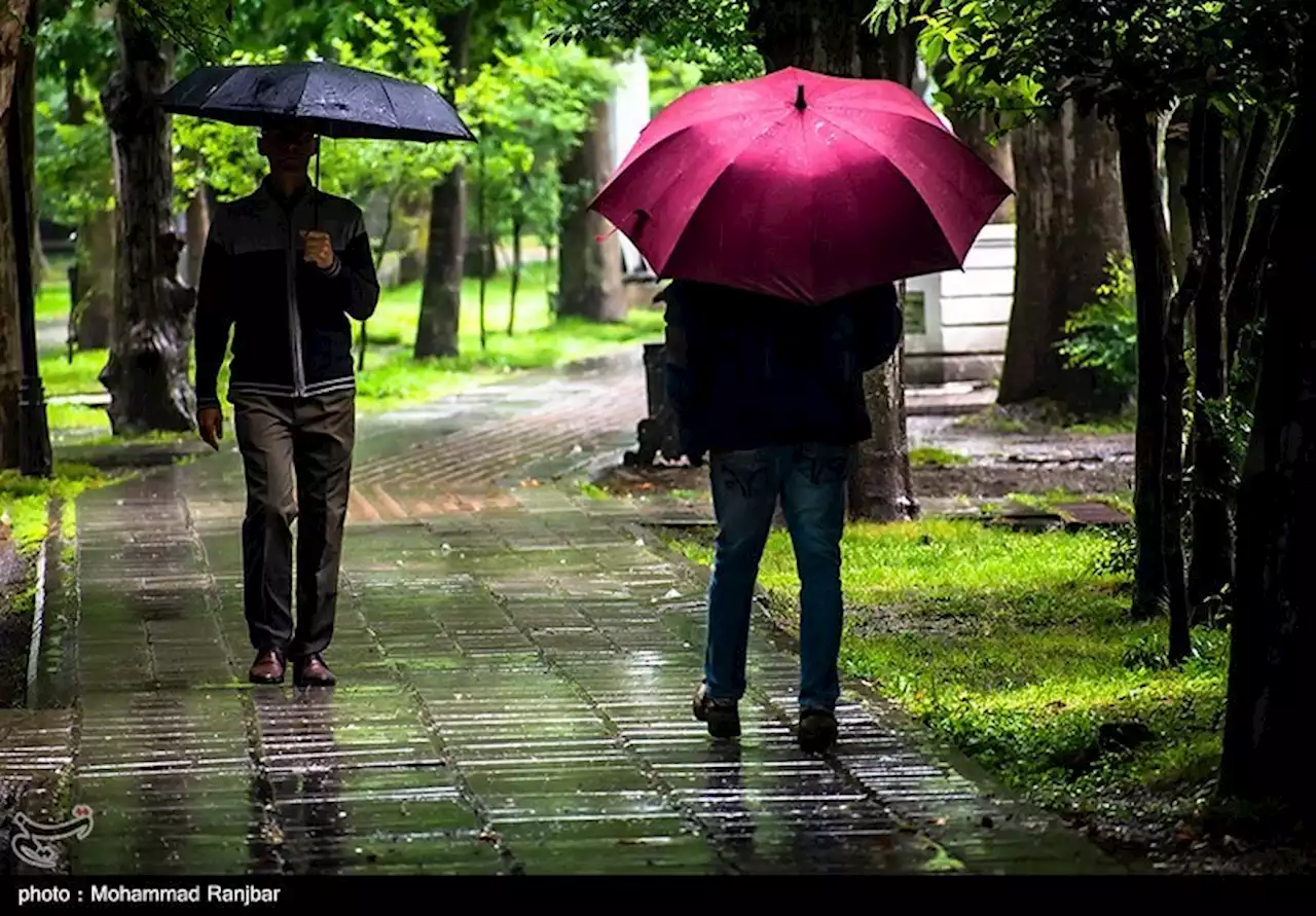 هواشناسی ایران 1402/06/25؛ بارش باران و کاهش دما در استان‌های شمال و شمال غرب- اخبار هواشناسی