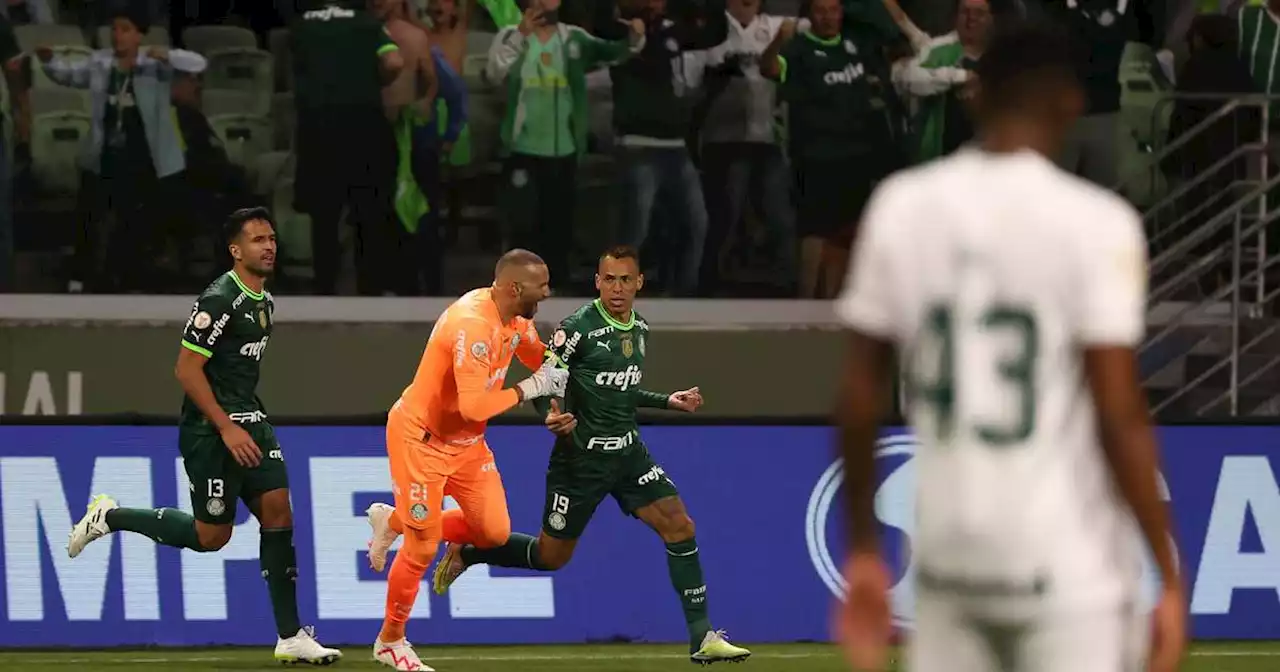 Torcida do Palmeiras protesta contra Breno Lopes após comemoração polêmica em jogo contra o Goiás; veja