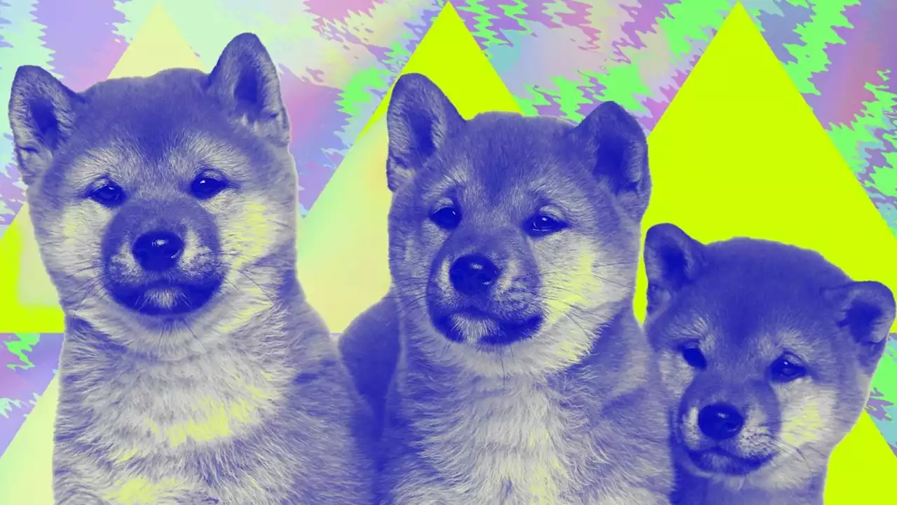 What is Shiba Inu and how does it work? A beginner's guide to SHIB