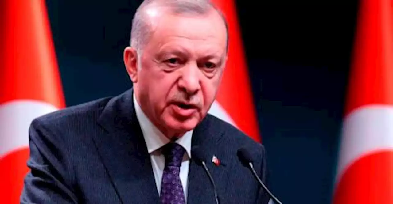 Erdogan: Türkiye may part ways with EU if necessary