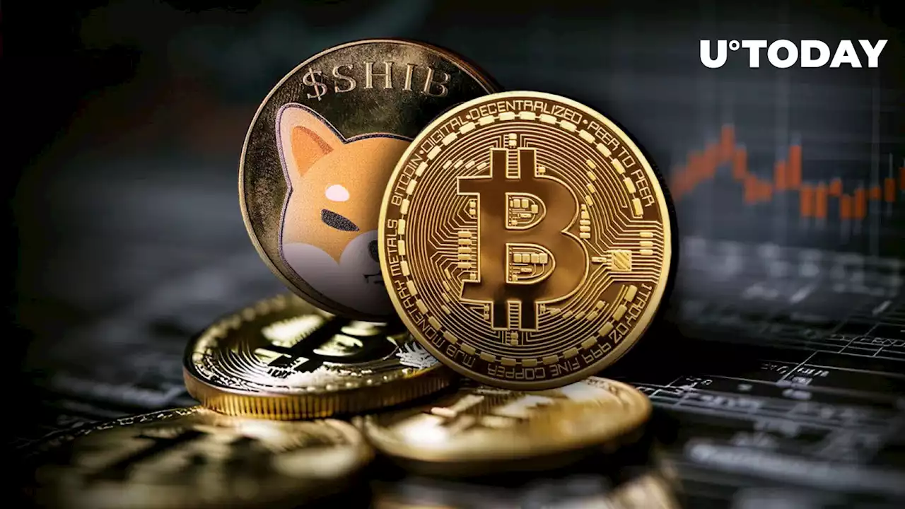 Shiba Inu Bitcoin Correlation Drops to Lowest in Weeks, What Happened?