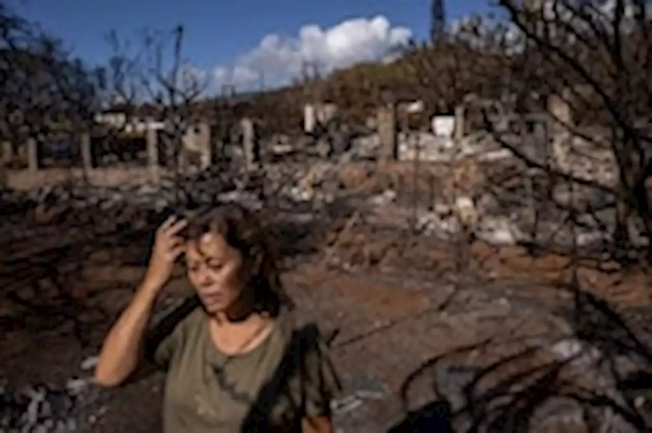 A Maui family whose home burned down struggles to rebuild their lives