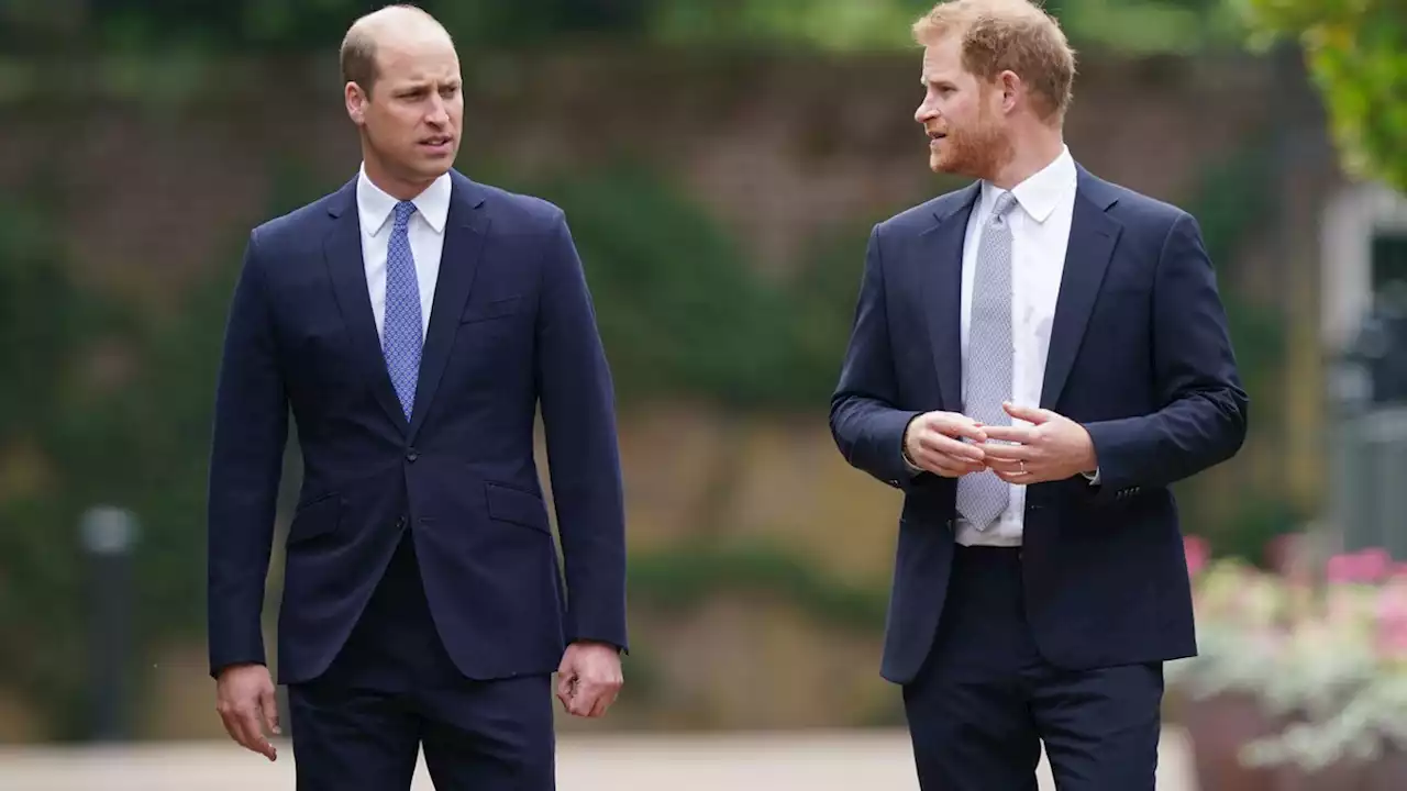 Funkstille zwischen William und Harry: Royal-Expertin mit bitterer Erkenntnis