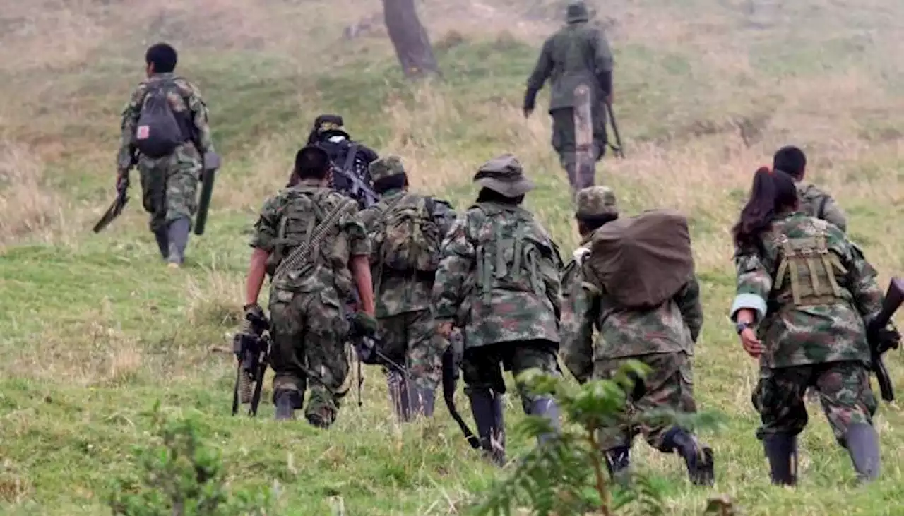 Más de 2.500 desplazados en Nariño por combates entre ELN y disidencias de FARC