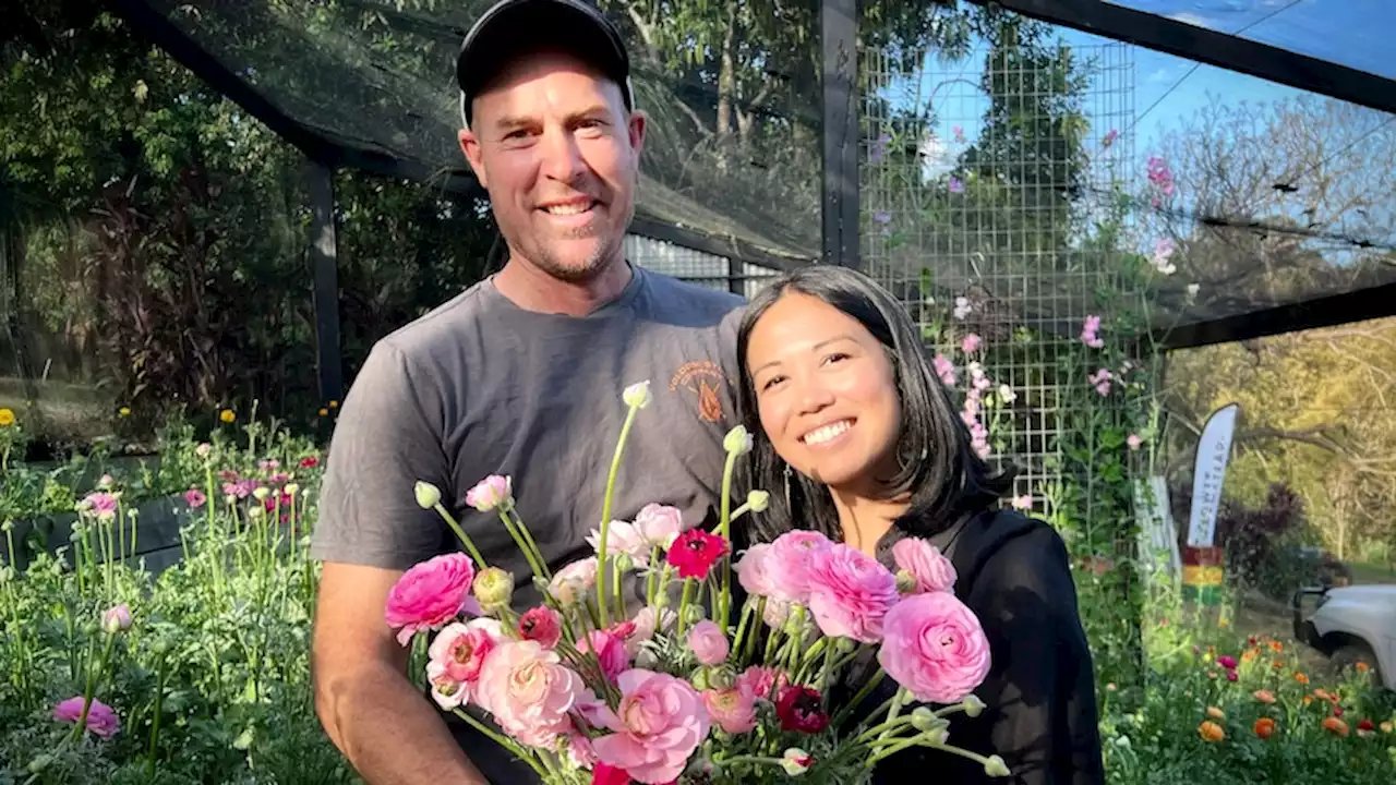 Leaving city crowds behind, this couple has found contentment by flower farming in country Queensland