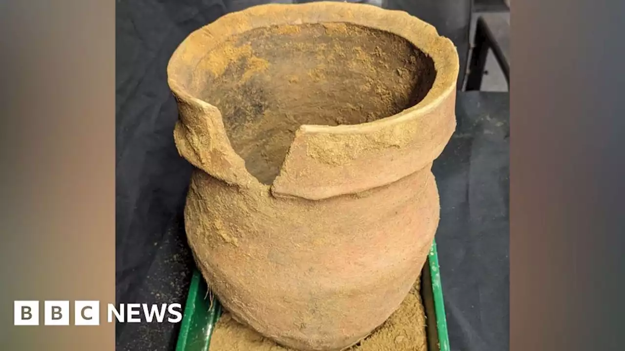 Intact Bronze Age pot found during excavation near Ely