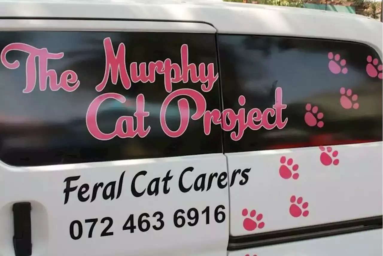 Help Murphy Cat Project raise funds to cover vet bills