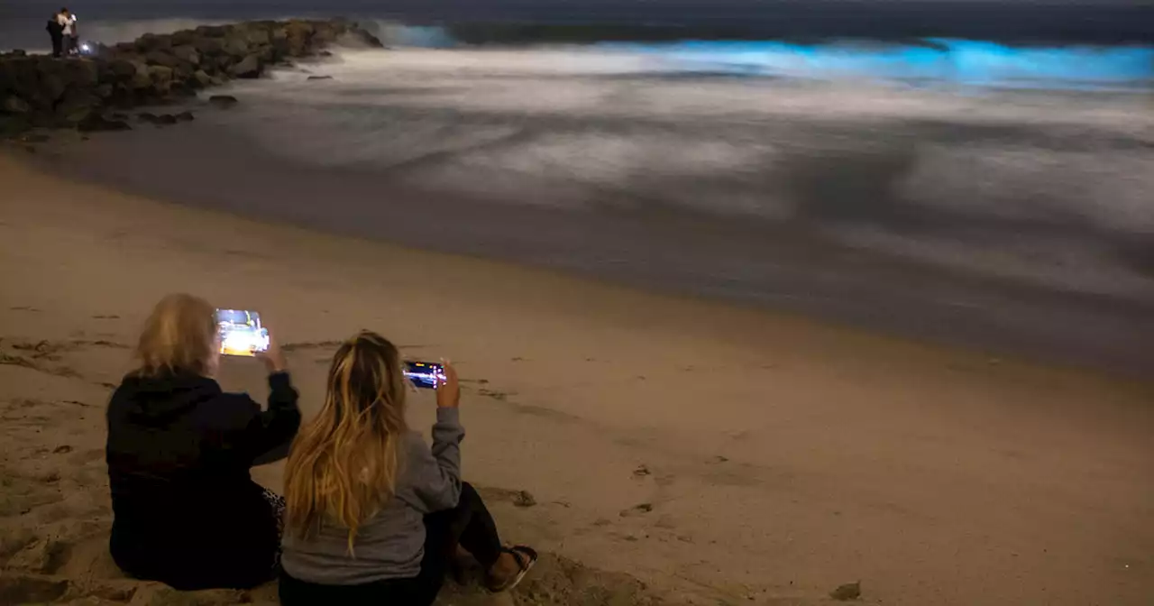 Bioluminescent waves light up Southern California's coastal waters