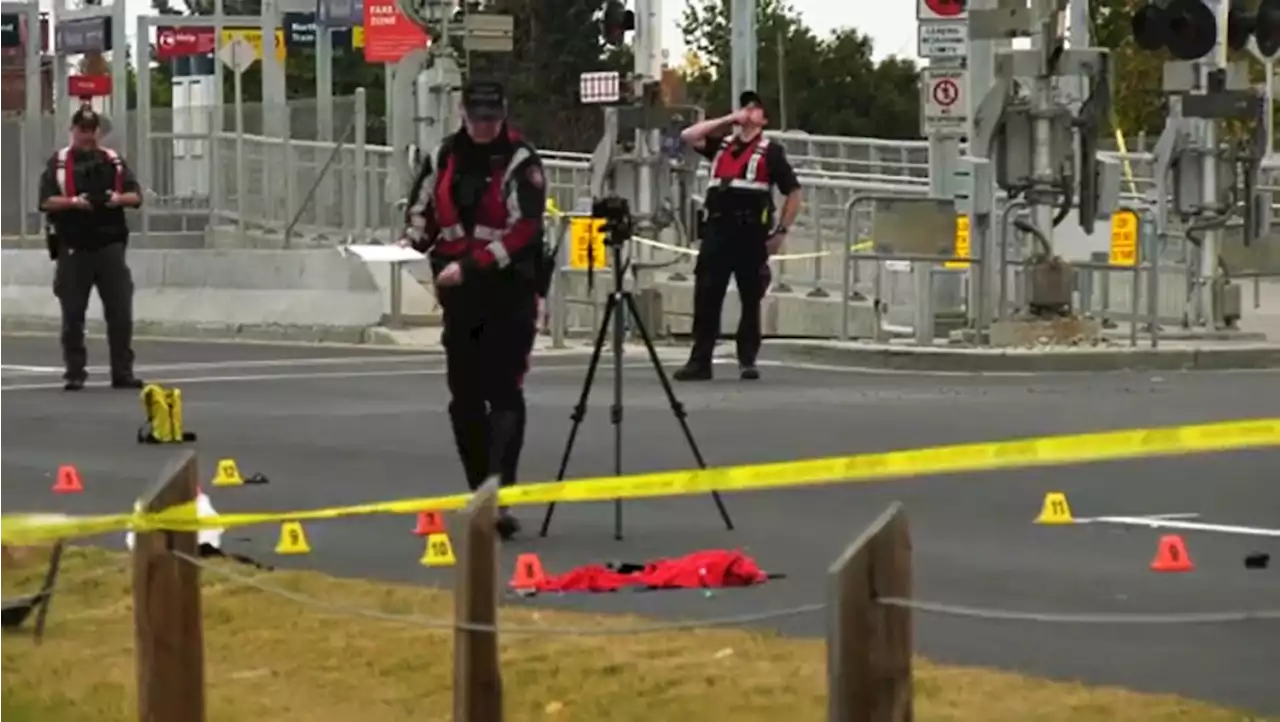 Woman in life-threatening condition after being struck by vehicle in northeast Calgary