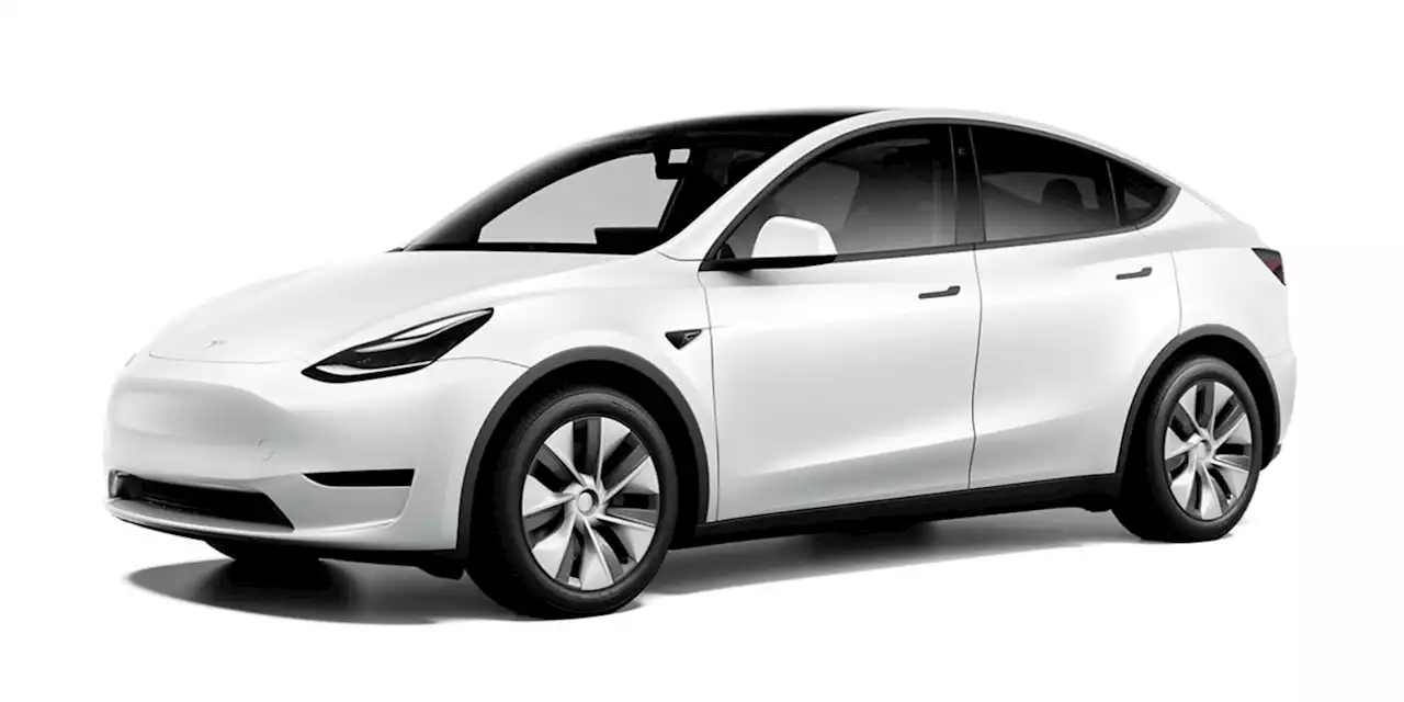 Tesla baut wohl Basis-Model-Y mit BYD-Akkus in Grünheide