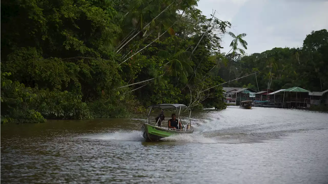 Mueren 14 personas en un accidente aéreo en el estado brasileño de Amazonas