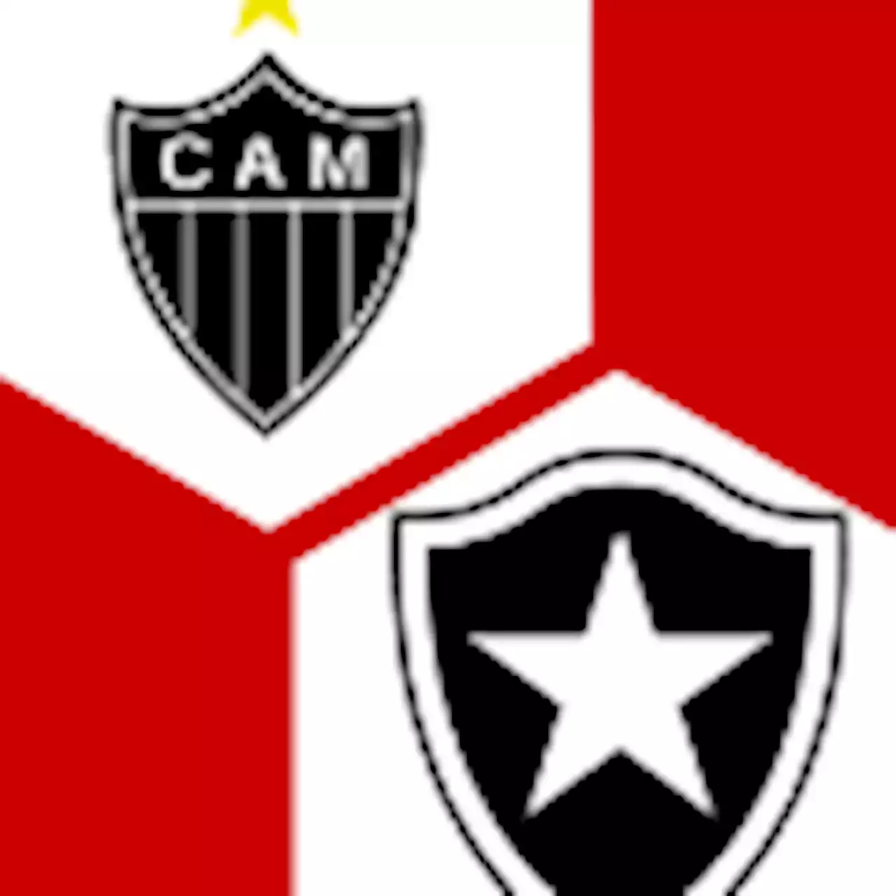 - Botafogo Rio de Janeiro 1:0 | 23. Spieltag