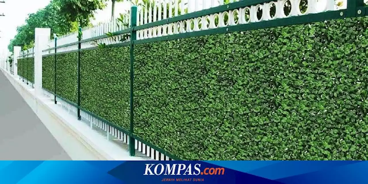 Bukan Cuma Indah, Pagar Tanaman Juga Berperan pada Kesehatan Anak