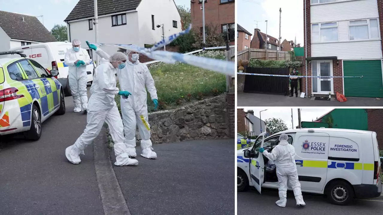 Woman, 35, arrested on suspicion of murder after two people in their 70s 'presumed dead'