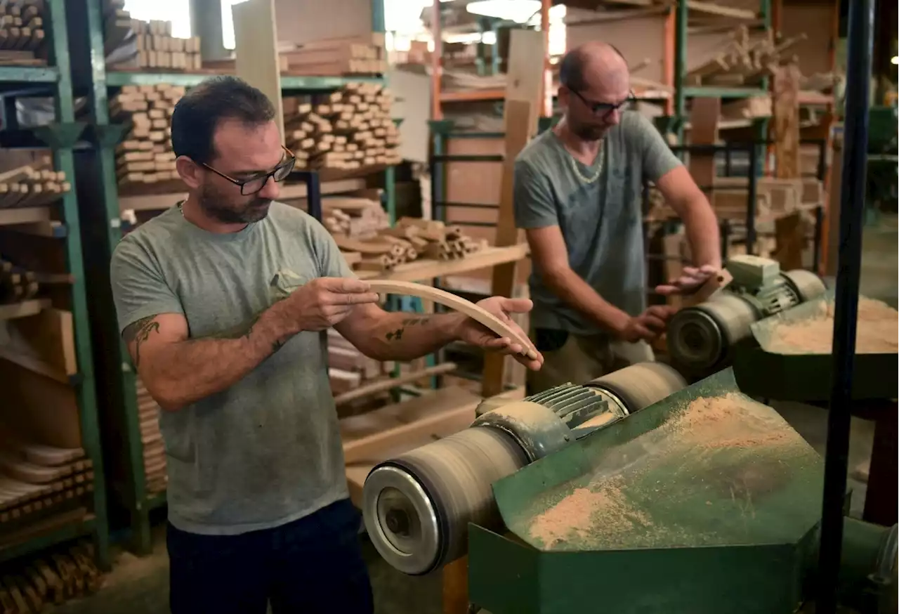 Dans les Landes, 1.500 chaises fabriquées pour Notre-Dame de Paris