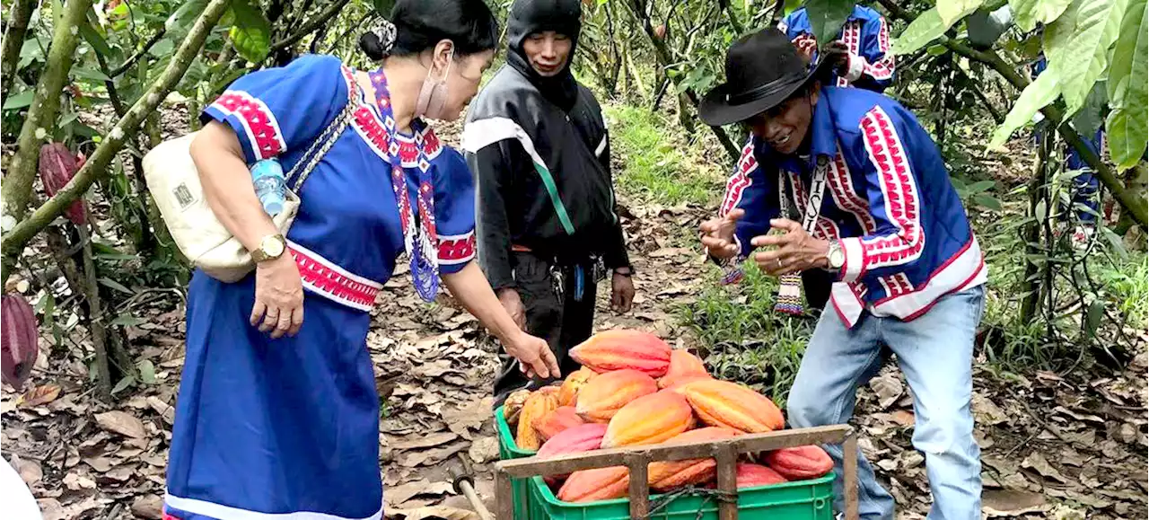 Spotlight on Bukidnon: Indigenous knowledge helps preserve the environment