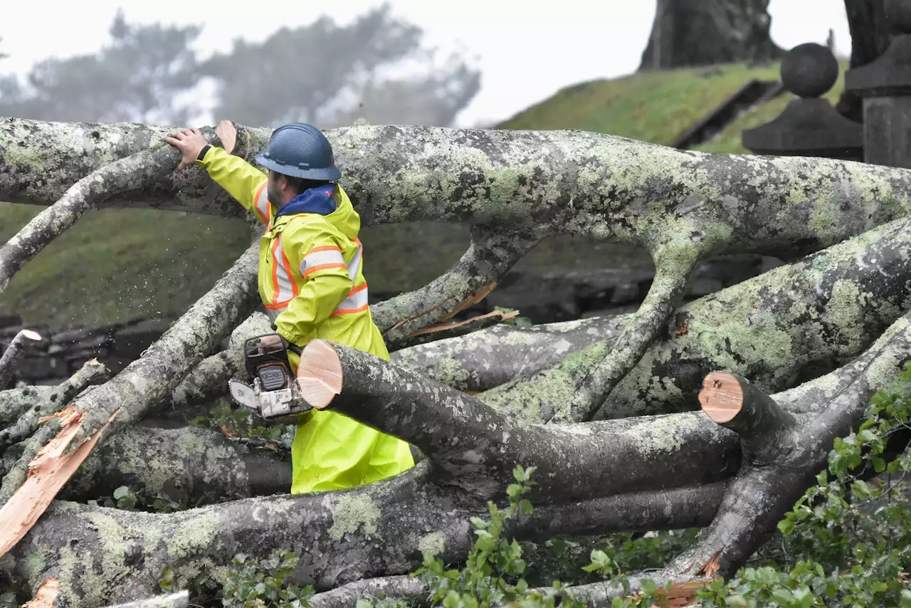 ALLISTER AALDERS: Tallying top wind gusts, rainfall amounts from post-tropical storm Lee