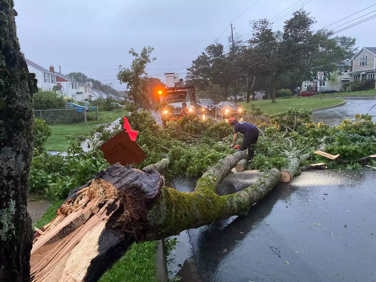 Lee leaves Nova Scotia to clean up fallen trees, downed power lines