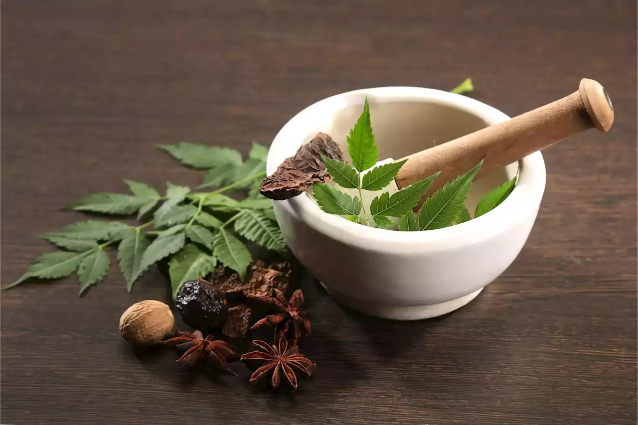 Hidden Danger in Herbal Remedies – How Ayurvedic Medicine Can Cause Lead Poisoning