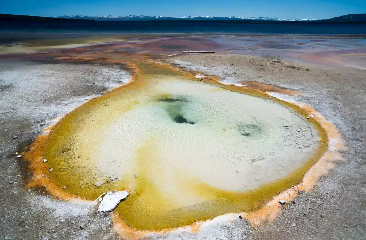 Life in Boiling Waters: A Global Microbial Connection