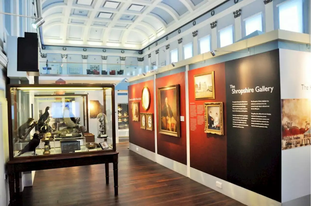 Shrewsbury Museum & Art Gallery scores top rating on Tripadvisor