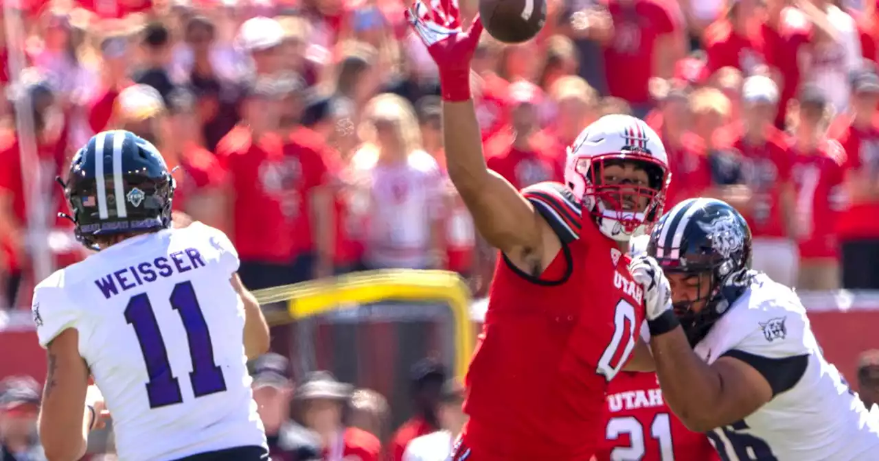 Utah rolls Weber State 31-7, now 3-0 on the season