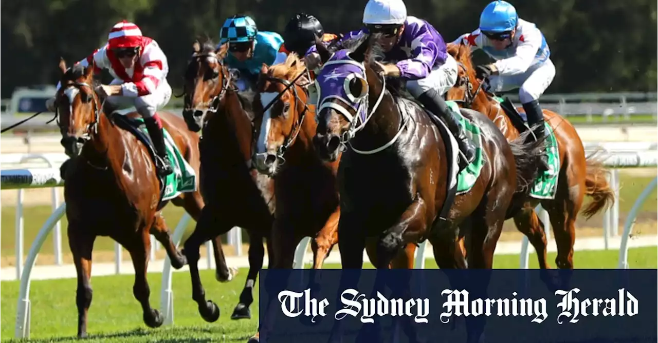 Race-by-race preview and tips for Coffs Harbour on Monday