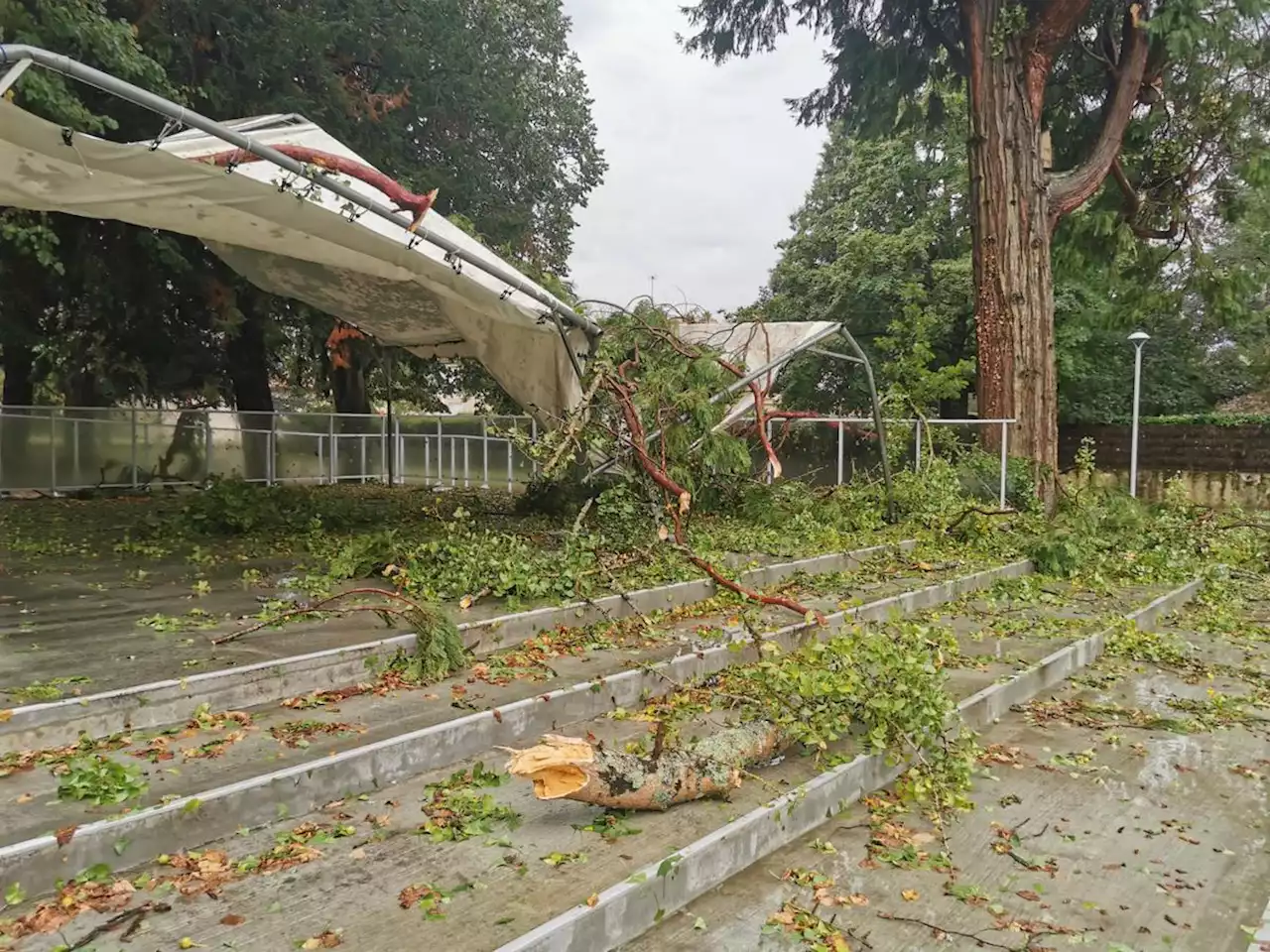 Lot-et-Garonne : après les orages, de nombreux arbres couchés et routes coupées