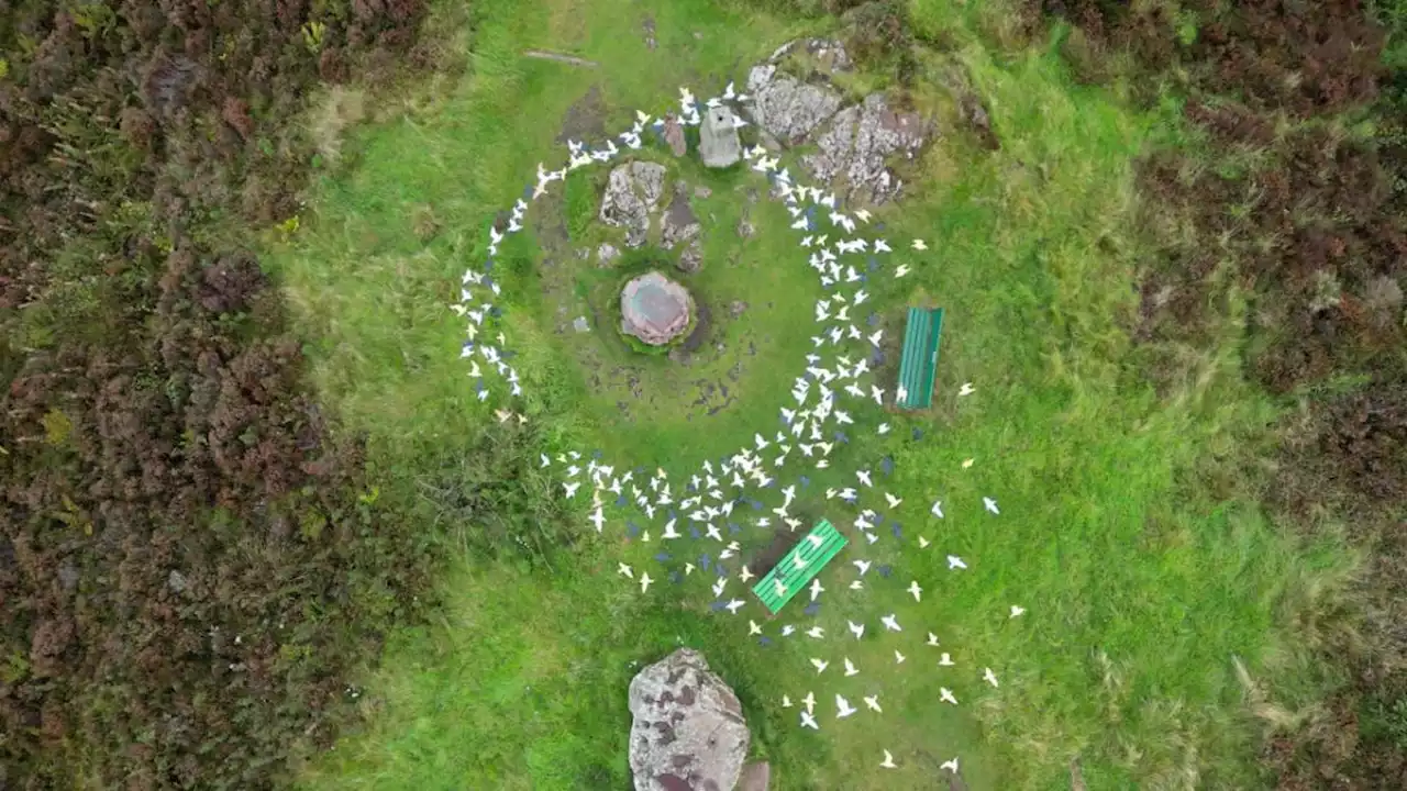 Scottish islanders make 'last stand' against plans for controversial solar farm