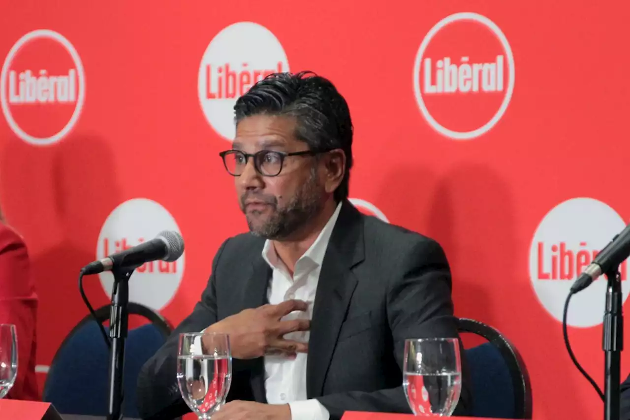 Liberal leadership candidates: Naqvi seeking return to Queen's Park