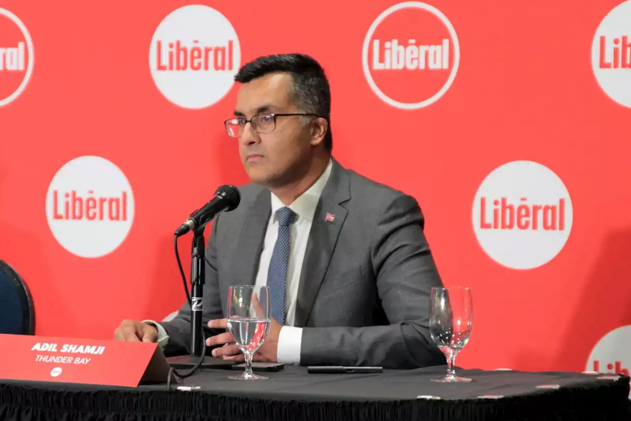 Liberal leadership candidates: Shamji brings doctor's perspective to leadership race