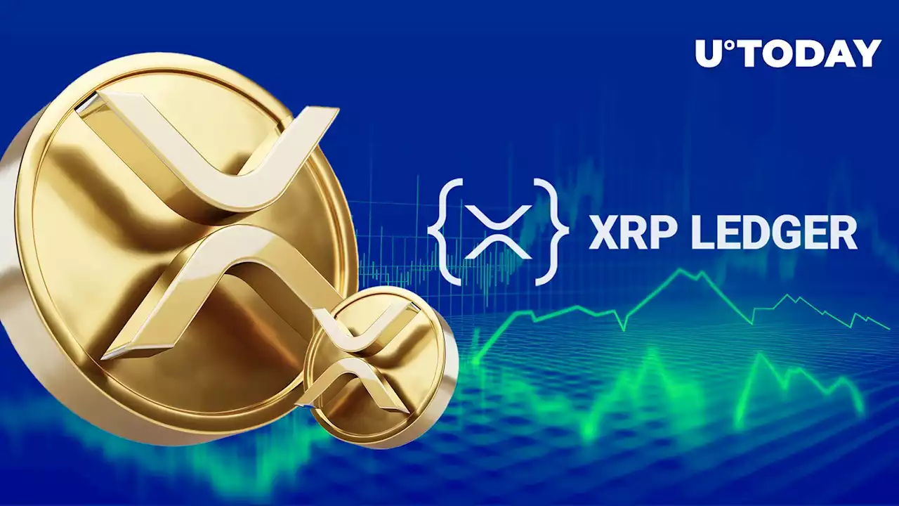 XRP Closes In on 5 Million Holders: Discover Key Insights