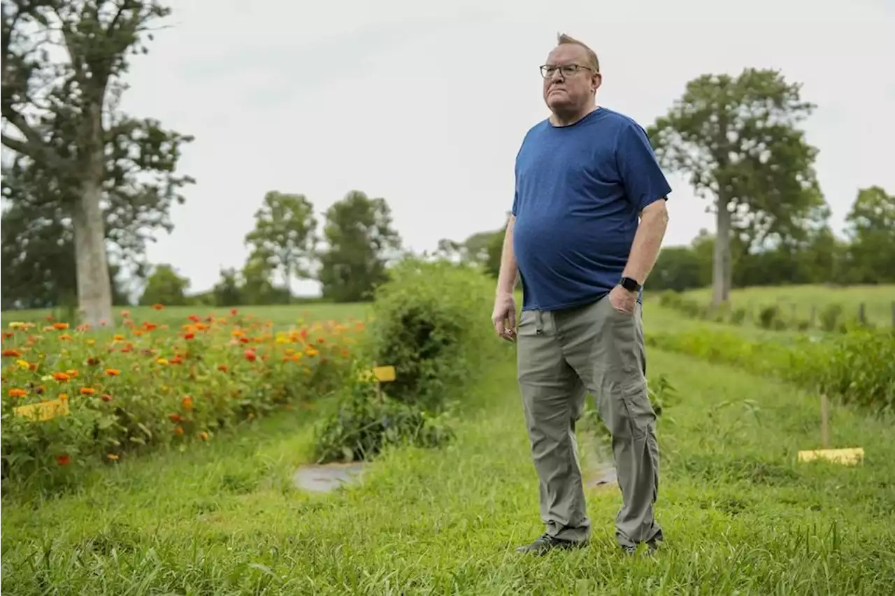 Lots of indoor farms are shutting down as their businesses struggle. So why are more being built?